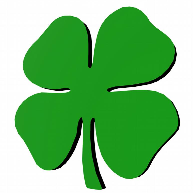 Pictures for Lucky Lawns, LLC in Big Lake, MN 55309 Landscaping